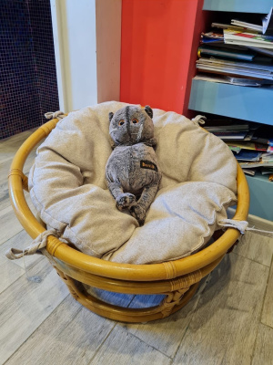 Кресло папасан - мини 23/01Е с подушкой, цвет: мёд. Фото №5