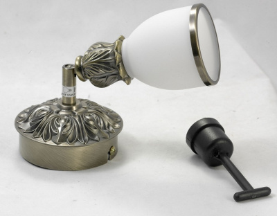 Спот Lussole Furlo LSL-7301-01. Фото №2