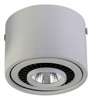 Накладной светильник Favourite Reflector 1775-1C. Фото №2