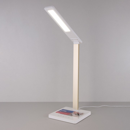 Настольная лампа офисная Elektrostandard TL90510 a039562. Фото №1