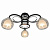 Потолочная люстра Arte Lamp Ginevra A1604PL-3BK