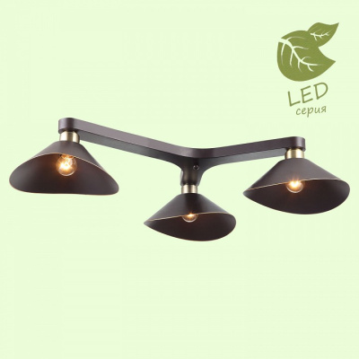 Потолочная люстра Lussole Opelika GRLSP-9534. Фото №2